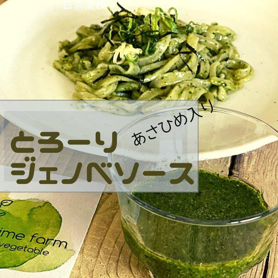 あさひめ生うどん10パック(30人前)【送料無料】(ジェノベソース5本入り) |  | 02