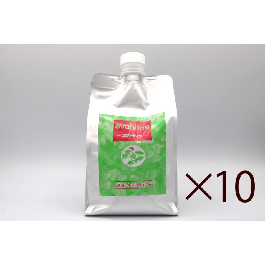 スキャルプクレンジングシャンプー　10L（1,000ml×10） | 