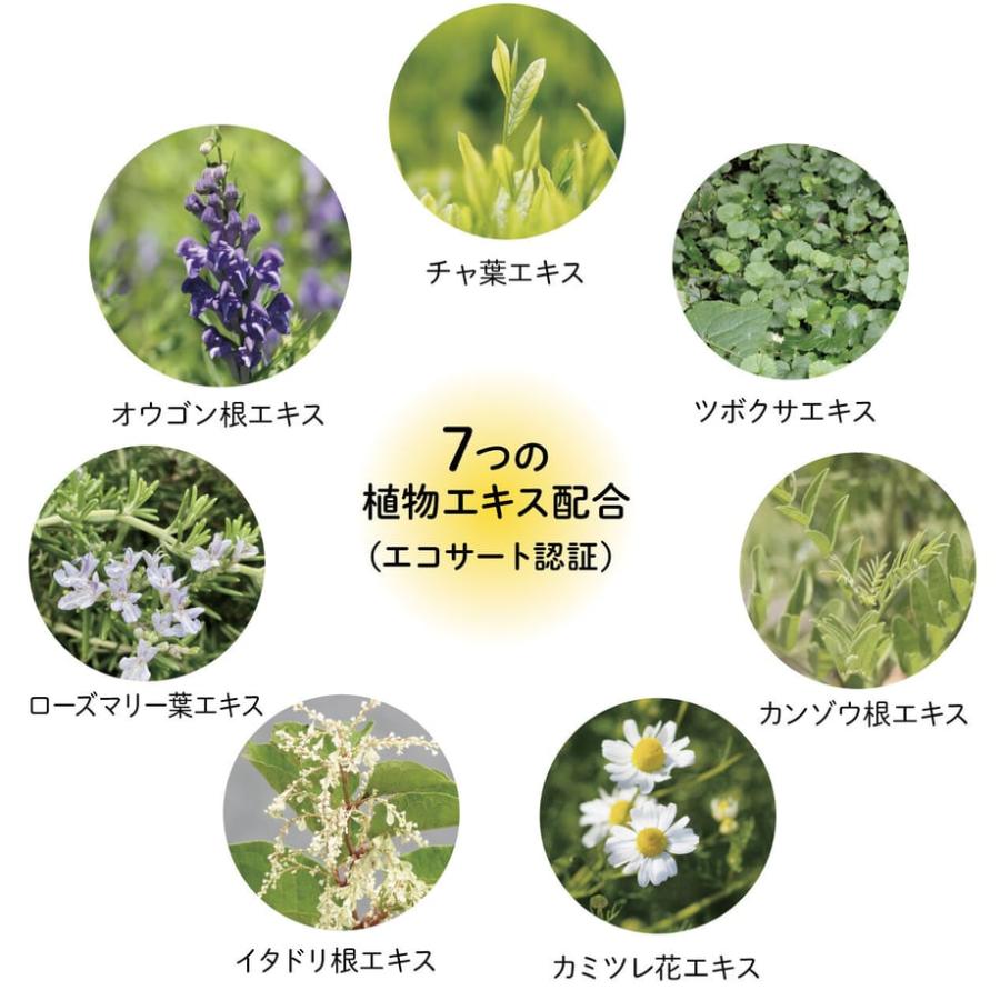 アーサス モイストケア シャンプー　500ml |  | 05