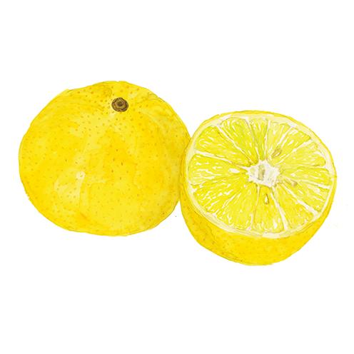 アーサス リーブオン ヘアトリートメント 200ml |  | 05