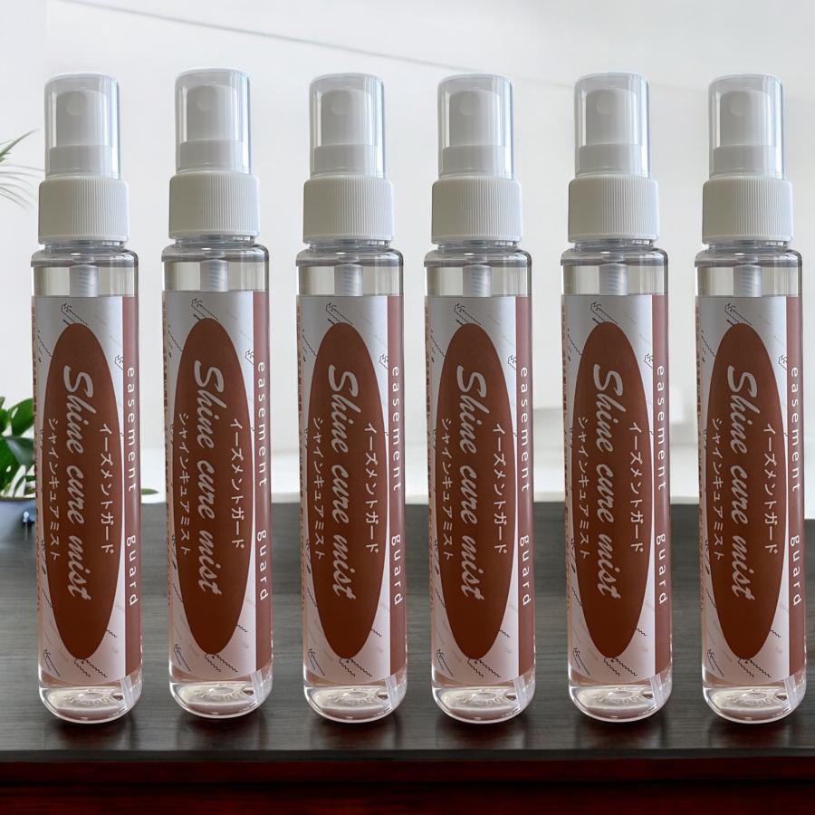 シャインキュアミスト100ml×6本 |  | 01
