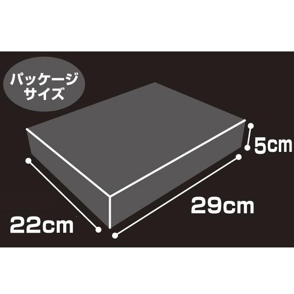 Evastore原创拼图 翔前 5人的驾驶员 本田雄 发售 绫波丽 明日香 真希波 复刻 Evangelion All