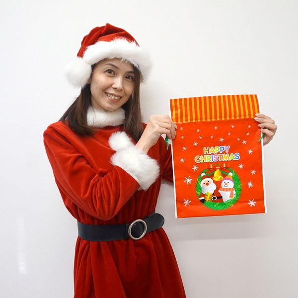 クリスマス巾着ビニールギフトバッグ　20個｜プレゼント 袋 景品 粗品｜event-ya｜02