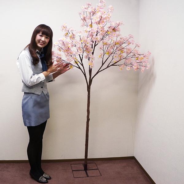 桜装飾 桜立ち木 H0cm 2分割 飾り ディスプレイ 春 No 2295 販促イベント屋 通販 Yahoo ショッピング