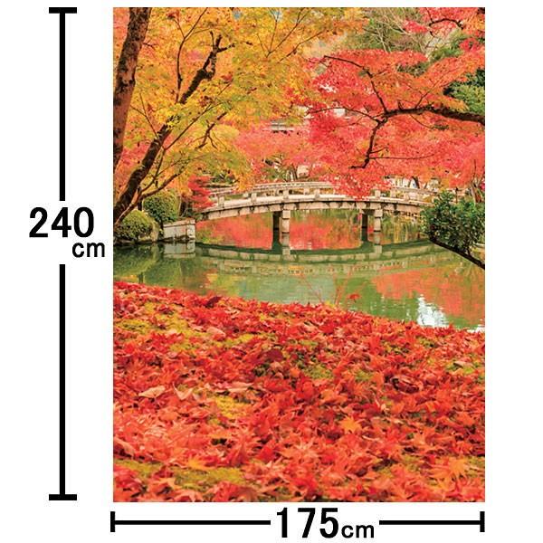 秋の装飾 バックスクリーンシート 紅葉風景 H240cm W175cm 飾り もみじ 動画有 No 販促イベント屋 通販 Yahoo ショッピング