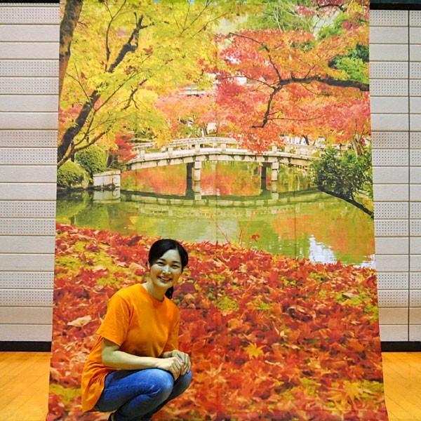秋の装飾 バックスクリーンシート 紅葉風景 H240cm W175cm 飾り もみじ 動画有 No 販促イベント屋 通販 Yahoo ショッピング