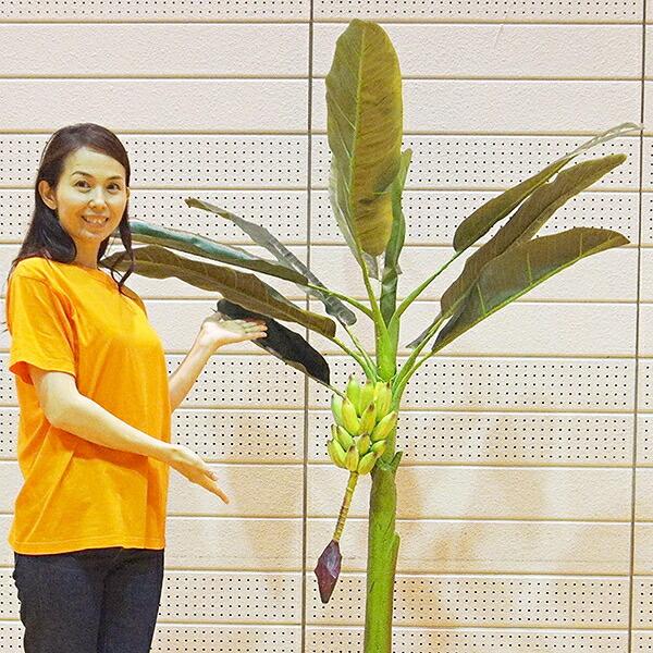 人工樹木 バナナの木 H175cm 35cm鉢付 [大型商品160cm以上] / 観葉植物