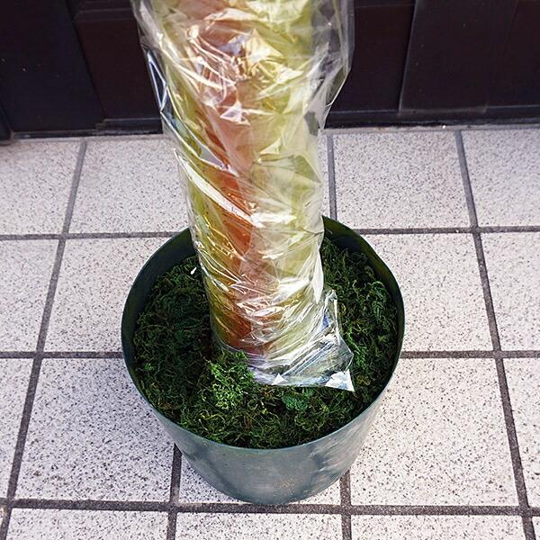 人工樹木 バナナの木 H175cm 35cm鉢付 [大型商品160cm以上] / 観葉植物