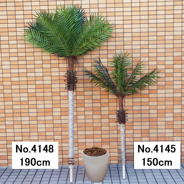[撮影使用品につき大特価] 人工樹木 フェニックスパームツリー 190cm 白の鉢付き [大型商品160cm以上]の画像