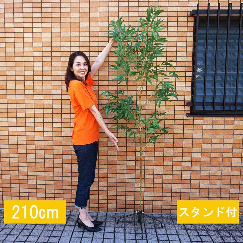 デラックス七夕笹・リアル節竹 210cm (組立式3分割) 4本足スタンド