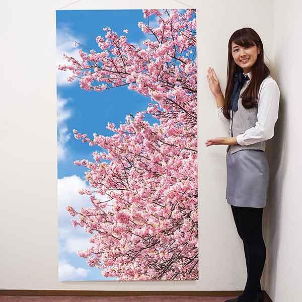桜タペストリー 桜道満開 防炎加工 L180cm 壁掛け 春の飾り 春の装飾 販促グッズ 店内装飾 販促品 ディスプレイ Pop 飾り 春 入学式 お花見 No 8117 販促イベント屋 通販 Yahoo ショッピング