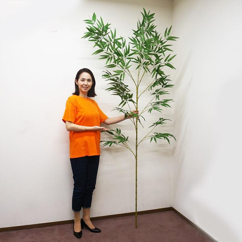 商談中SB600人気色ビンテージ笹竹付け下げ 自然文様 葉 身丈159x63ｃｍ 本格七夕笹・リアル節(240cm) 組立式3分割 / バンブーツリー