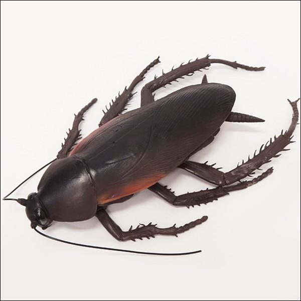 メガゴキブリ 65cm 巨大生物フィギュア ごきぶり おもちゃ 人形 いたずらグッズ No 9940 販促イベント屋 通販 Yahoo ショッピング
