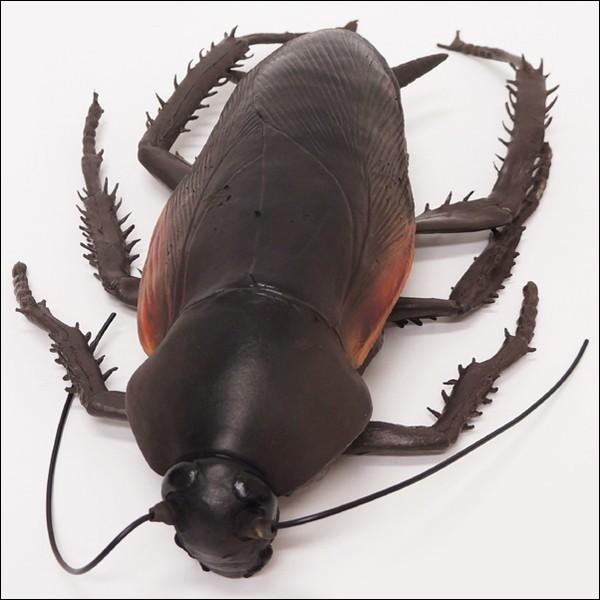 メガゴキブリ　65cm　巨大生物フィギュア / ごきぶり おもちゃ 人形 いたずらグッズ｜event-ya｜04