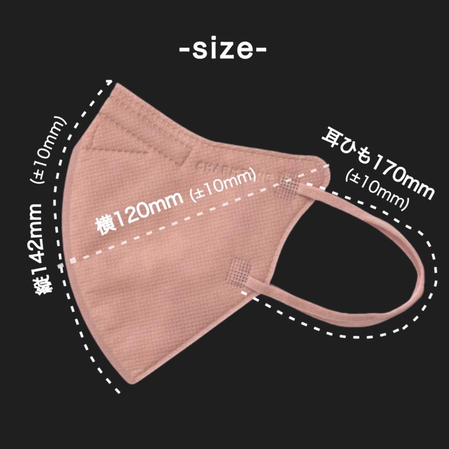 1000円ポッキリ】【お試し5枚入り】KF94 BLACKLABEL CHARMZONE