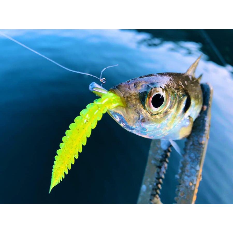 インクスレーベル INX.label ゼイゴー アジング Lサイズ Sサイズ INX