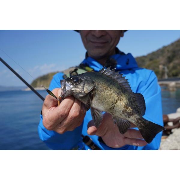 選べる3個セット】インクスレーベル(INX.label) ナッゾジグ ナッゾ