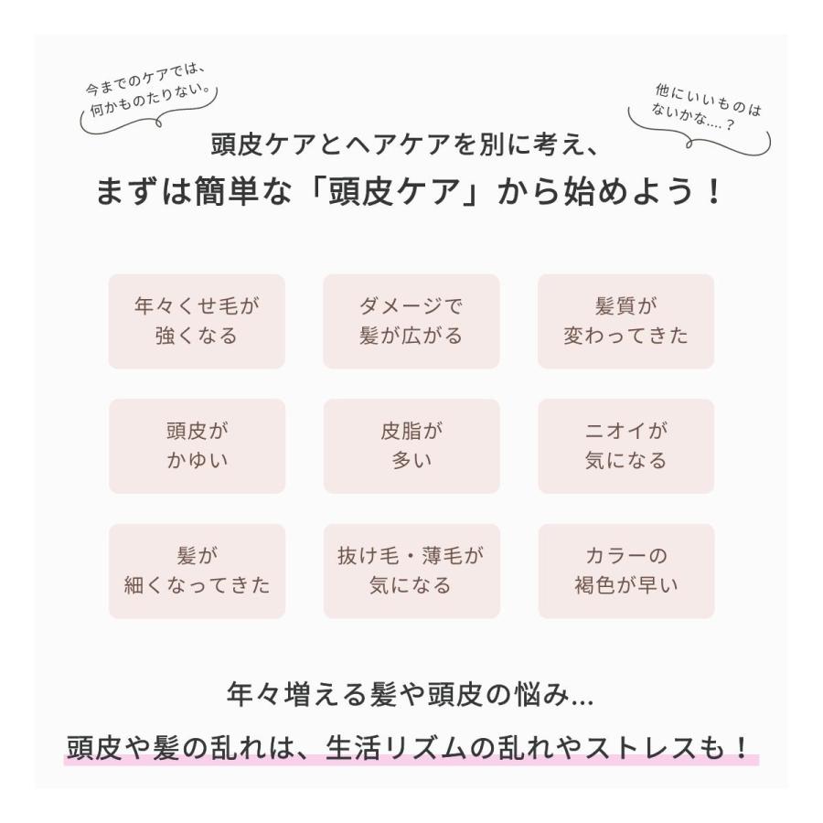 THE HERBS fillis シャンプー ラヴェ 正規販売店 芦屋 天然ハーブ