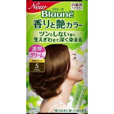 花王 ブローネ 香りと艶カラークリーム 5 1組×24個 (爆買) : 紀州