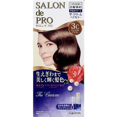 ダリヤ ＳＡＬＯＮｄｅＰＲＯ ザ・クリームヘアカラー ３Ｃ 1組×24個
