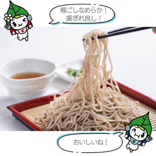 高尾製粉製麺 山芋入りとろろそば 450g（5束）×20個 ＼エバスグリ