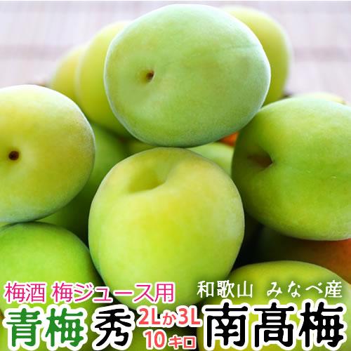 【お手頃価格✨️】みなべ産 青梅 秀品（A級）2L 10kg 予約)青梅 紀州みなべ産 南高梅 秀品サイズ(2L または 3L) 10kg 和歌山