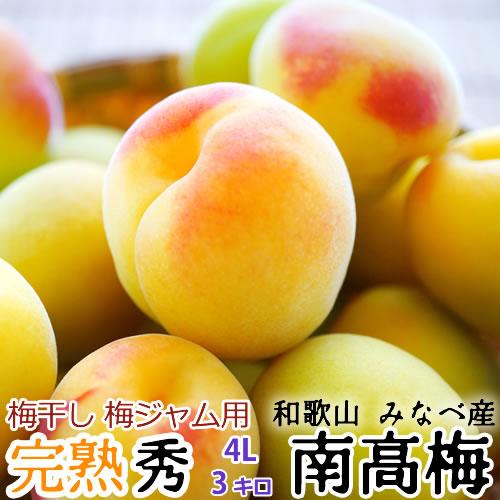 (予約) 完熟・青梅 紀州みなべ産 南高梅 秀品 サイズ(4L) 3kg 和歌山より産地直送 梅干し 梅ジャム 梅ジュース 生梅 みなべ 南高梅 完熟（Yahoo!・紀州和歌山てんこもり）