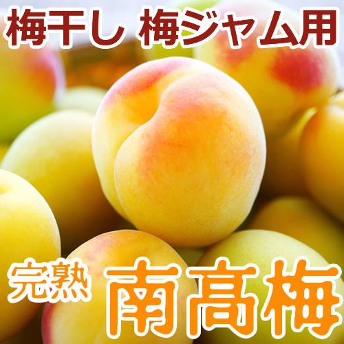 予約) 完熟・青梅 紀州みなべ産 南高梅 秀品 サイズ(4L) 5kg 和歌山