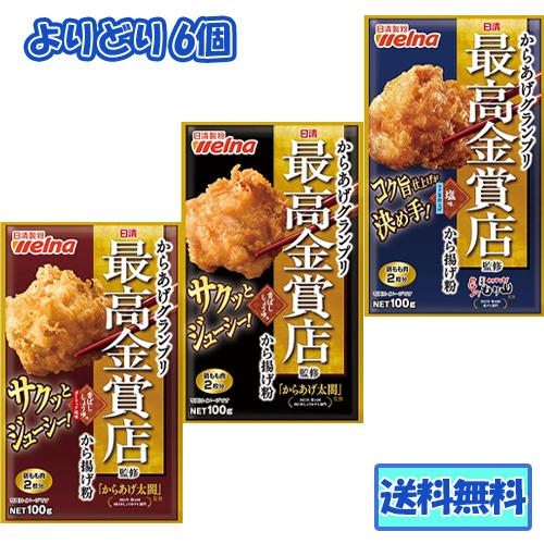 日清 からあげグランプリ最高金賞店監修 から揚げ粉 100gシリーズ(塩味