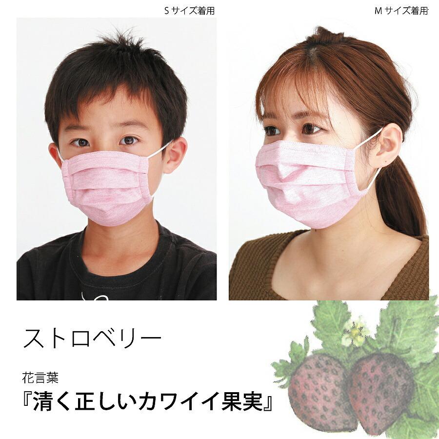 ever closet（エバークローゼット） 5枚いり 洗って使える布マスク