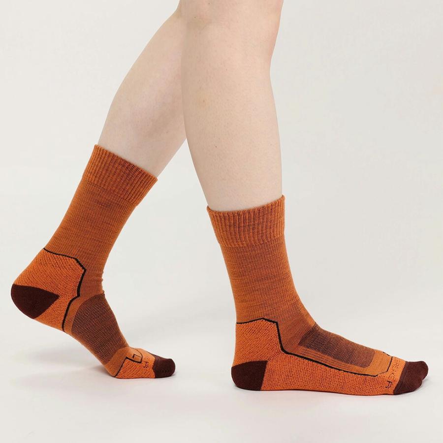 ICEBREAKER アイスブレーカー W HIKE+ LIGHT CREW ハイク ライト クルー レディース 靴下 ソックス メリノウール 薄手ソックス パイル地 伸縮性 快適性 クッシ… | icebreaker | 05