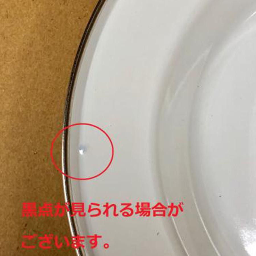 ペトロマックス PETROMAX エナメルプレート２枚入り | Petromax | 05