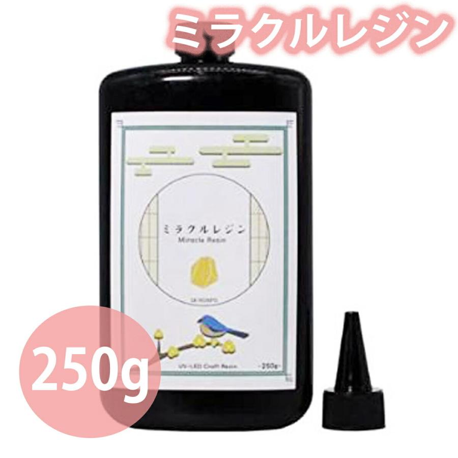 送料無料 すぐ使える500円クーポンあり レジン液 SK本舗 250g 送料無料 すぐ使える500円クーポンあり レジン液 SK本舗 250g