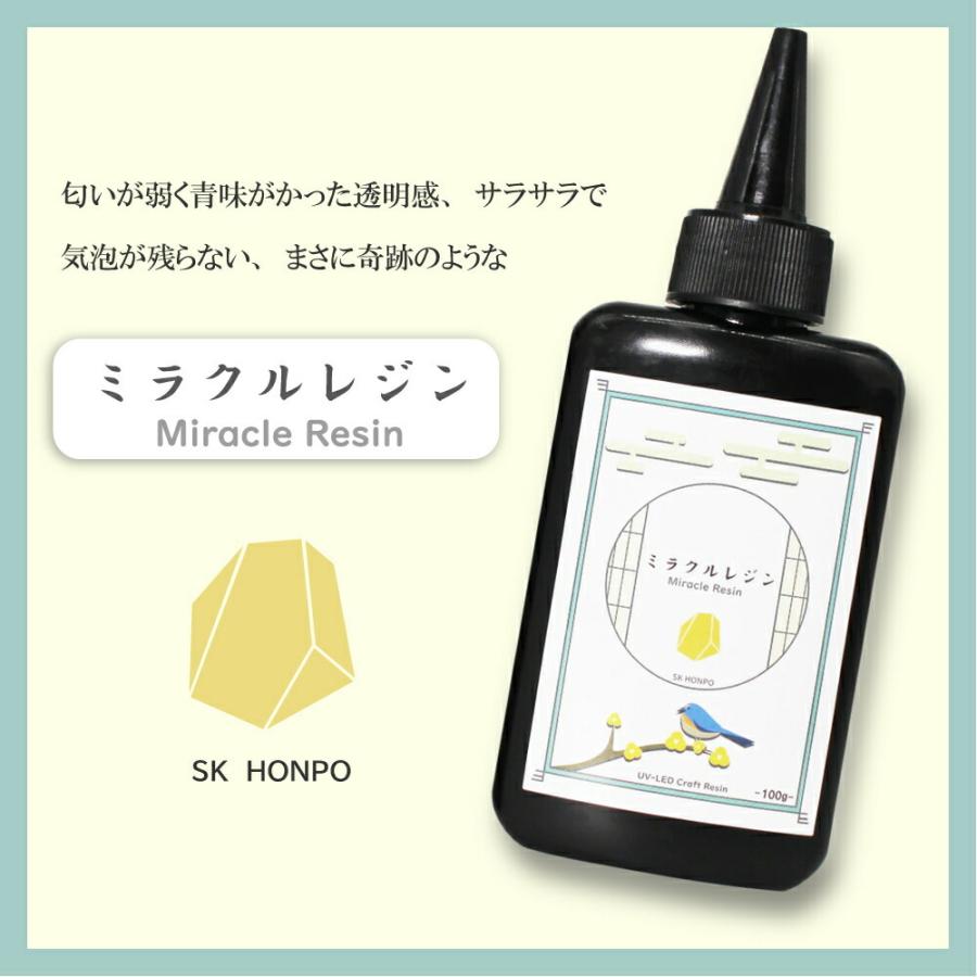 送料無料 すぐ使える500円クーポンあり レジン液 SK本舗 250g 送料無料 すぐ使える500円クーポンあり レジン液 SK本舗 250g
