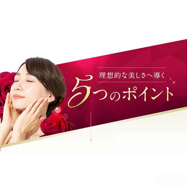 本品のみ】メッシュドボーテ(ミディアムベージュ) : エバーライフYahoo