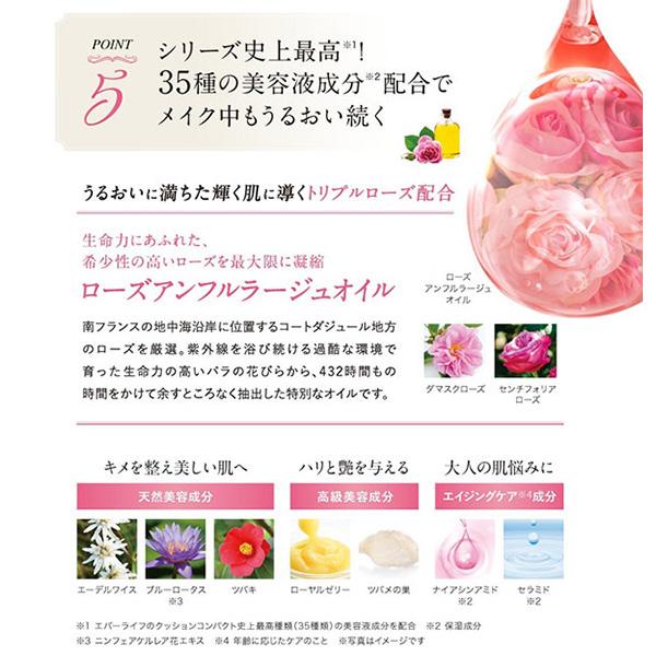 本品のみ】メッシュドボーテ (ナチュラルオークル) : エバーライフ