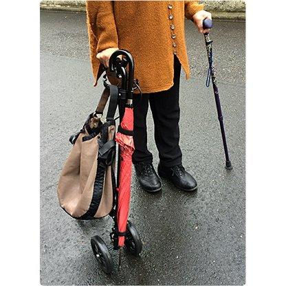 フジホーム フジホーム ハンドレールステッキII ブラック : 介護
