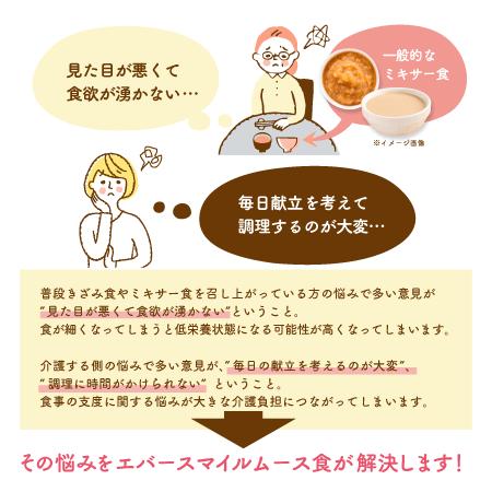 エバースマイルムース食 当店おすすめ主菜6品セット（介護食、常温