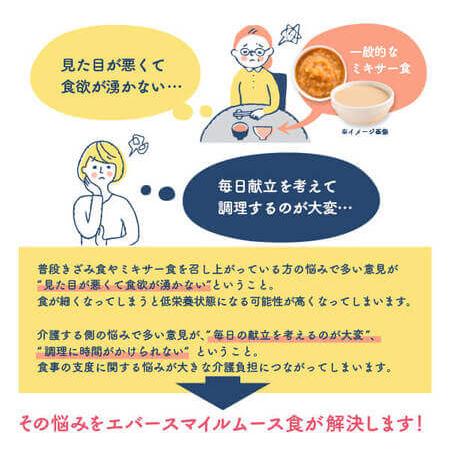 介護食 エバースマイルムース食 和・洋・中 主菜18品セット ソフト食