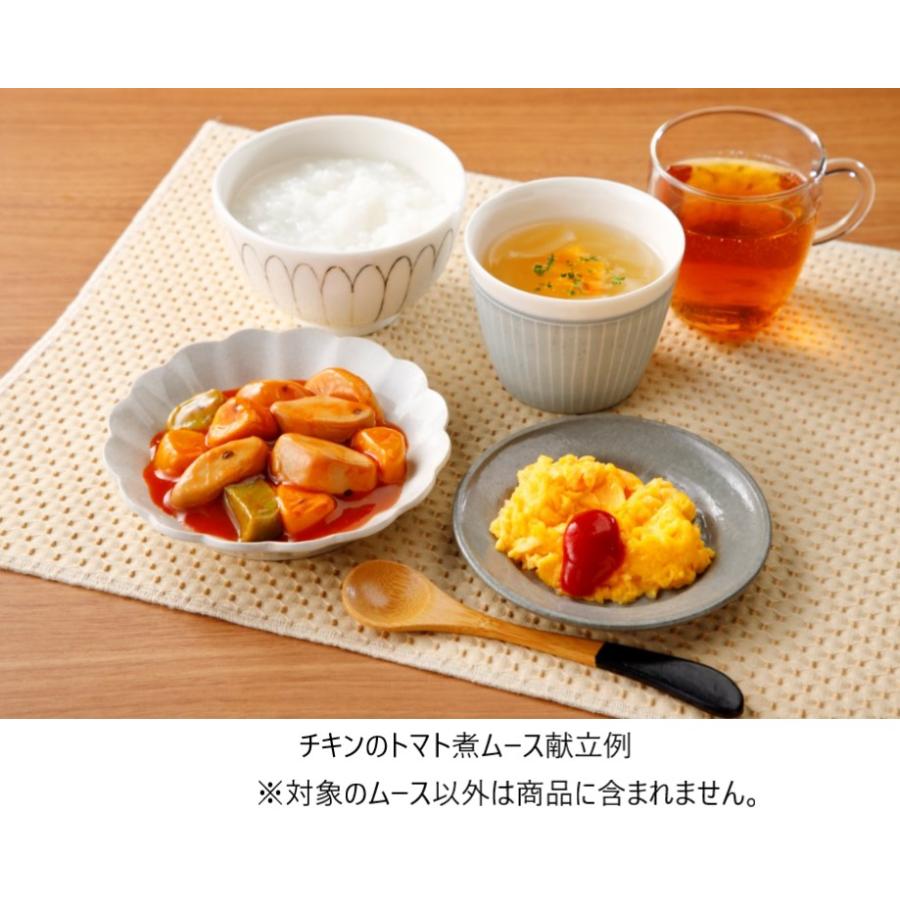 介護食 エバースマイルムース食 和・洋・中 主菜人気メニュー20品