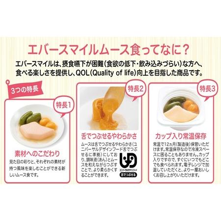 介護食 エバースマイルムース食 和・洋・中 主菜人気メニュー22品