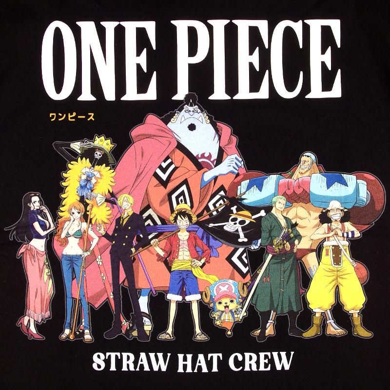 ONE PIECE Tシャツ ワンピース 半袖 ルフィ サンジ ゾロ ナミ ロビン