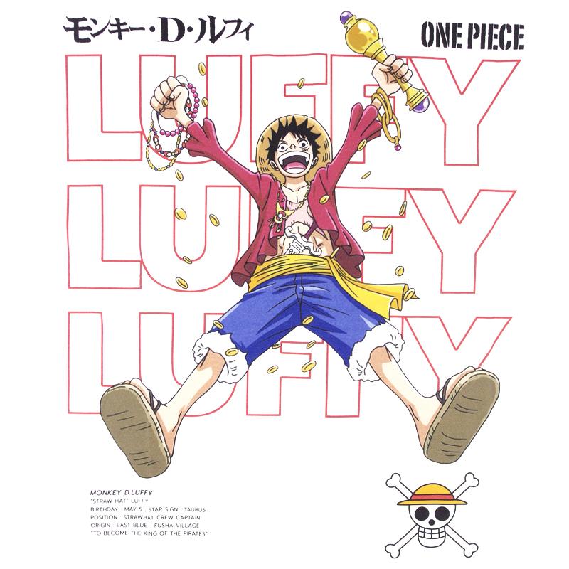 ONE PIECE Tシャツ ワンピース 半袖 ルフィ サンジ ゾロ ナミ ロビン