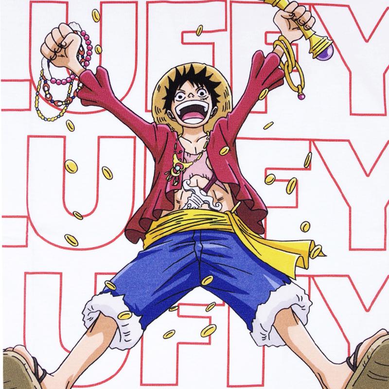 ONE PIECE Tシャツ ワンピース 半袖 ルフィ サンジ ゾロ ナミ ロビン