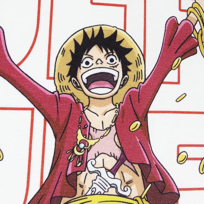 ONE PIECE Tシャツ ワンピース 半袖 ルフィ サンジ ゾロ ナミ ロビン