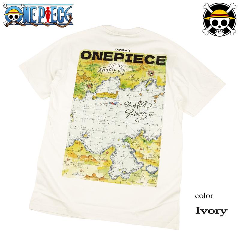 ONE PIECE Tシャツ ワンピース 半袖 ルフィ サンジ ゾロ ナミ ロビン チョッパー ブルック サニー号 ウソップ メンズ アニメ グッズ レディース 麦わら海賊団 | ブランド登録なし | 14