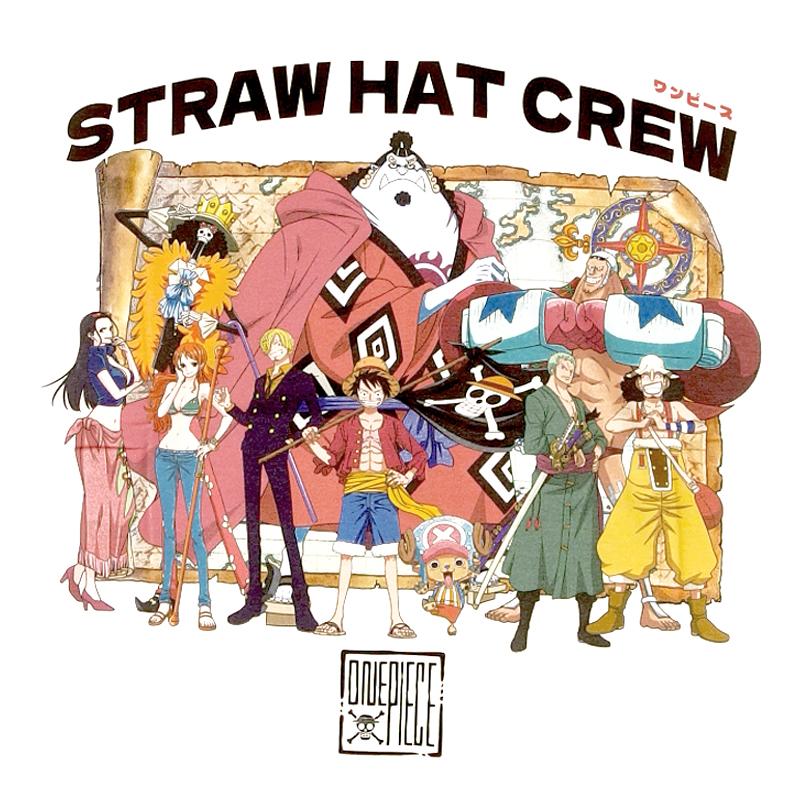 ONE PIECE Tシャツ ワンピース 半袖 ルフィ サンジ ゾロ ナミ ロビン チョッパー ブルック サニー号 ウソップ メンズ アニメ グッズ レディース 麦わら海賊団 | ブランド登録なし | 03