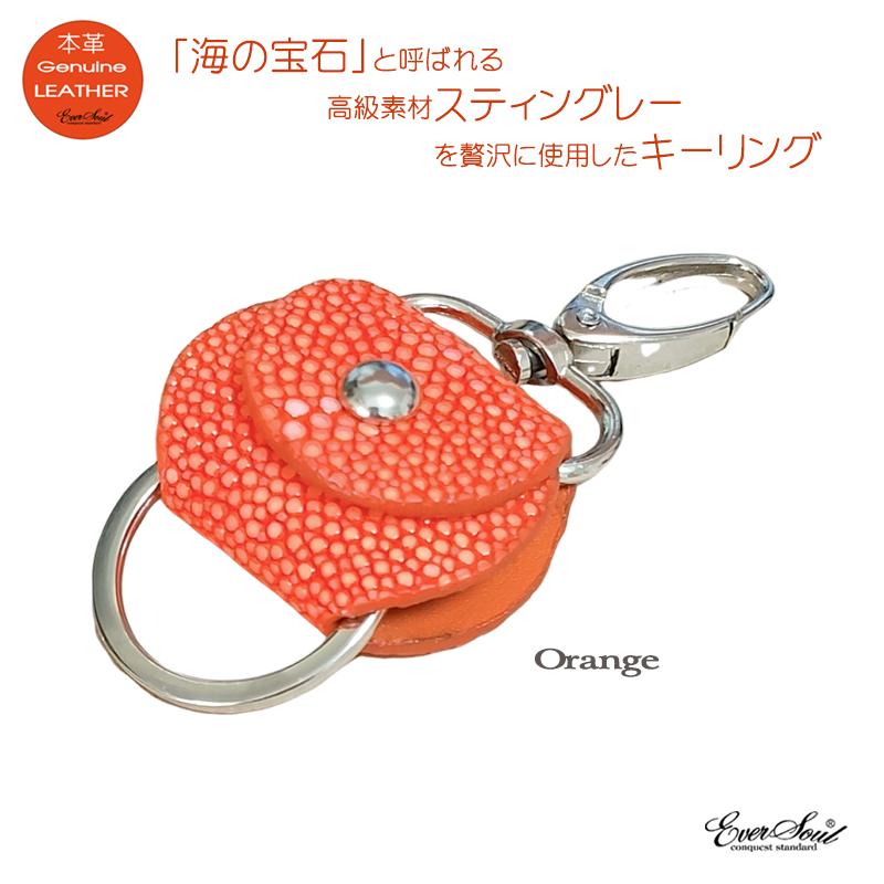 スティングレー キーホルダー ガルーシャ キーリング 希少 レザー 革