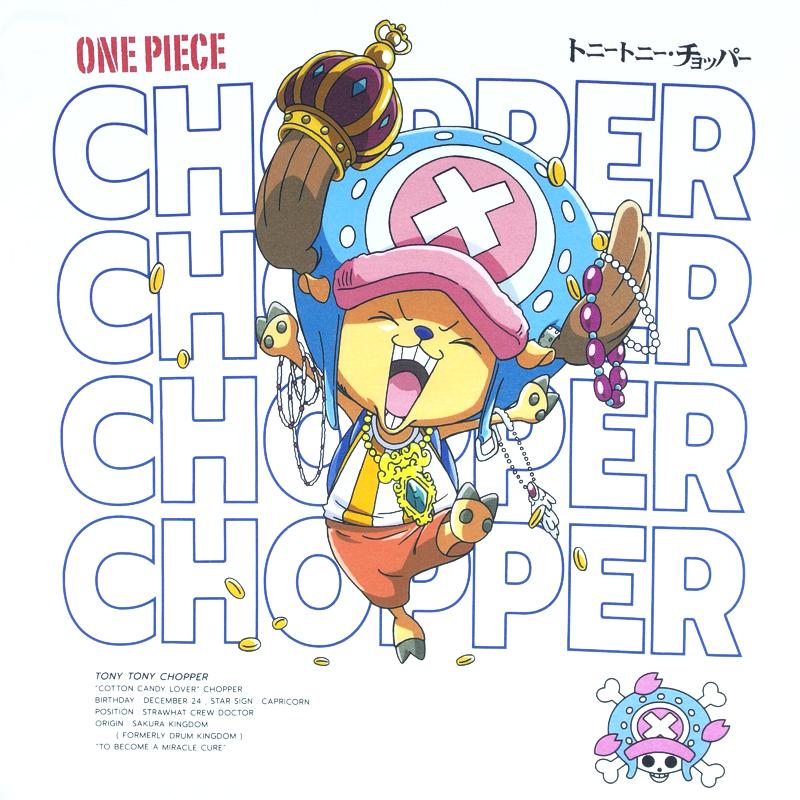 ONE PIECE Tシャツ ワンピース 半袖 ルフィ サンジ ゾロ ナミ ロビン
