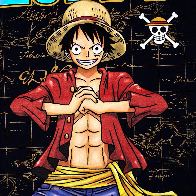 ONE PIECE Tシャツ ワンピース 半袖 ルフィ サンジ ゾロ ナミ ロビン